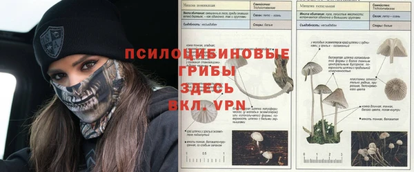 MDMA Балахна