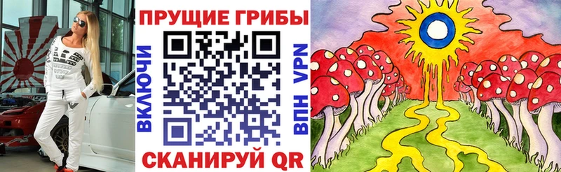 Галлюциногенные грибы мицелий  как найти   MEGA как зайти  Терек 
